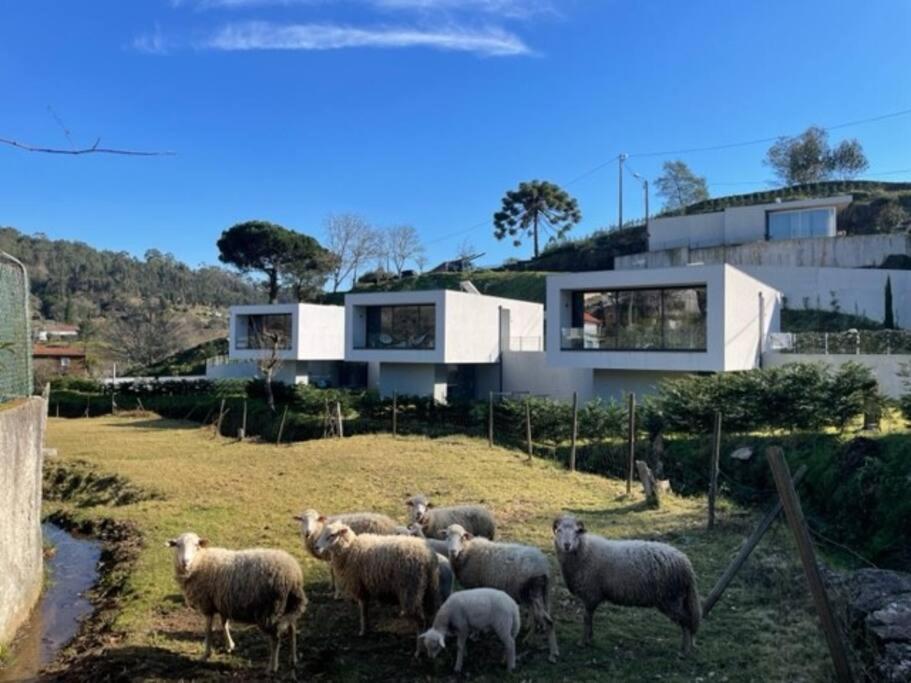 Viana Do Castelo - Amonde Village -Casa A * Relax Exteriér fotografie